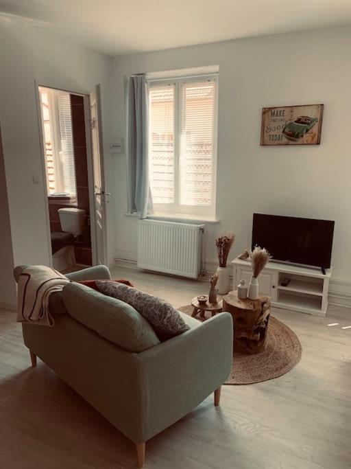 Studio Girafe, style bohème et atypique, Curistes Luxeuil-les-Bains Esterno foto